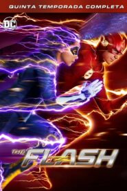 The Flash: Temporada 5